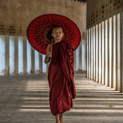 online_cources_bhante_mahendra